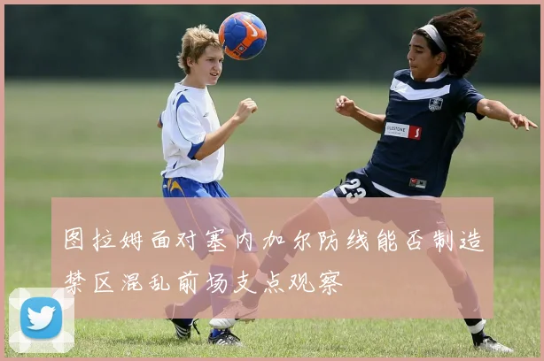 图拉姆面对塞内加尔防线能否制造禁区混乱前场支点观察