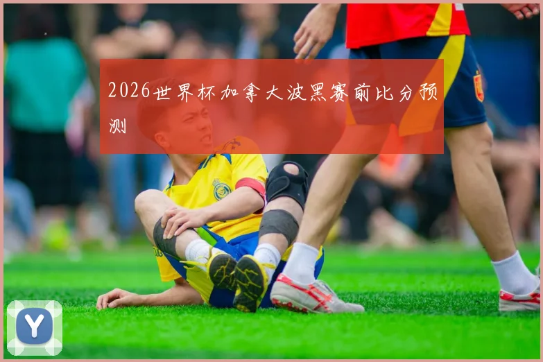 2026世界杯加拿大波黑赛前比分预测