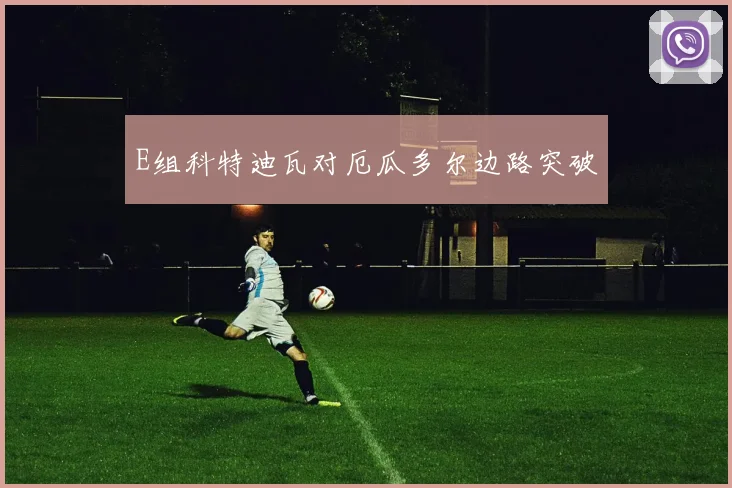 E组科特迪瓦对厄瓜多尔边路突破
