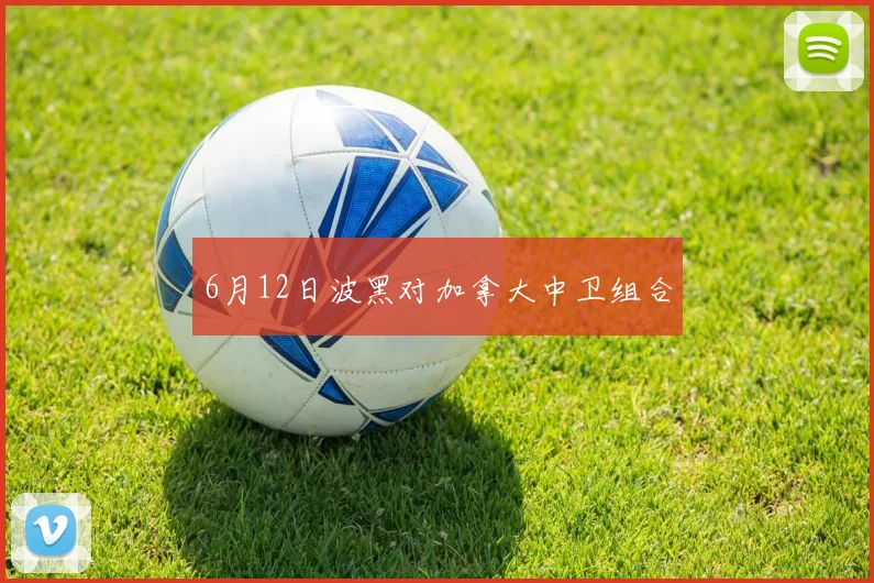 6月12日波黑对加拿大中卫组合