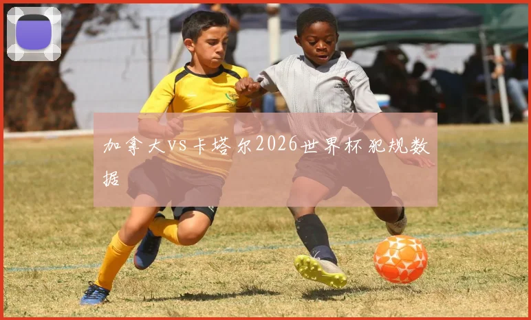 加拿大vs卡塔尔2026世界杯犯规数据