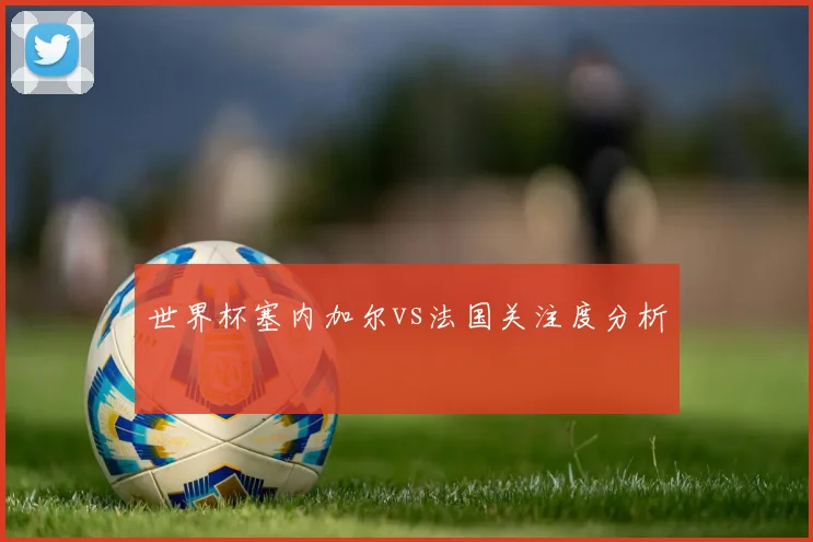 世界杯塞内加尔vs法国关注度分析