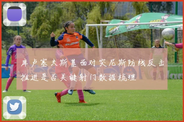 库卢塞夫斯基面对突尼斯防线反击推进是否关键射门数据梳理